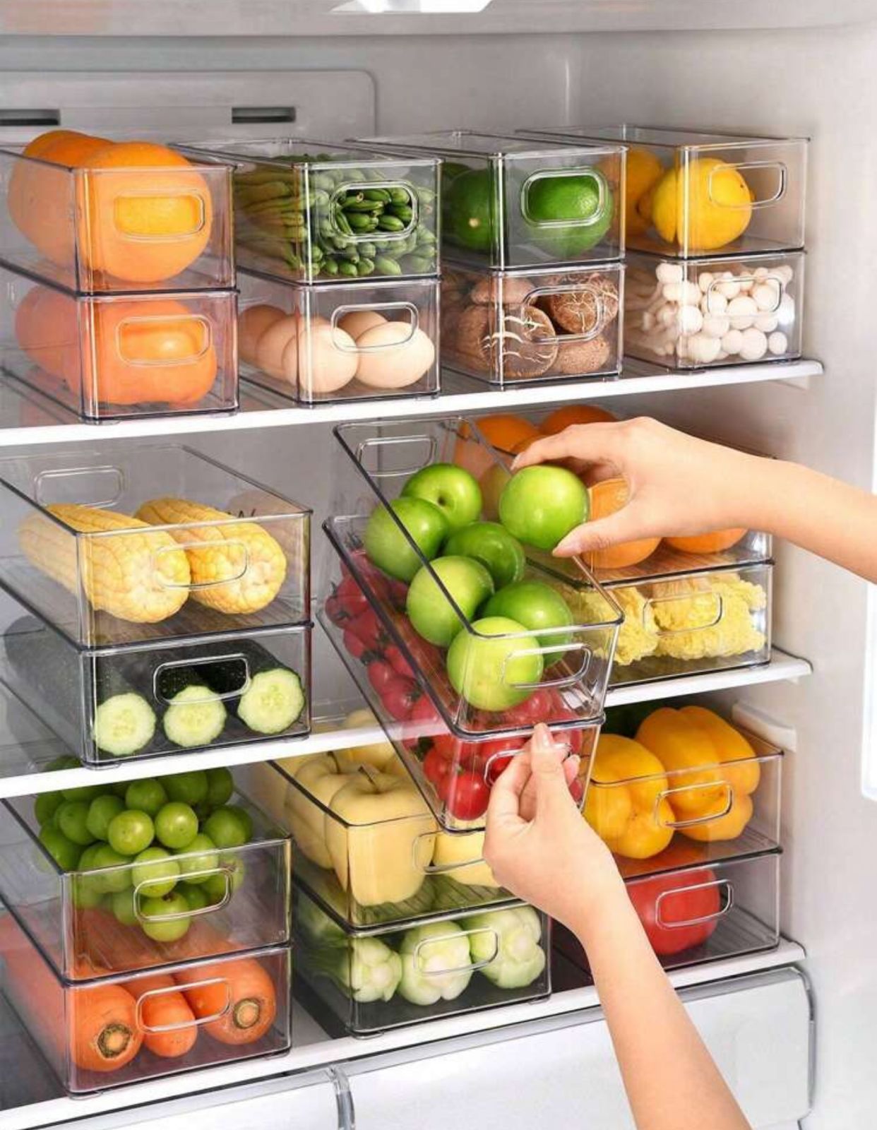 Refrigerator/Freezer Storage Boxes