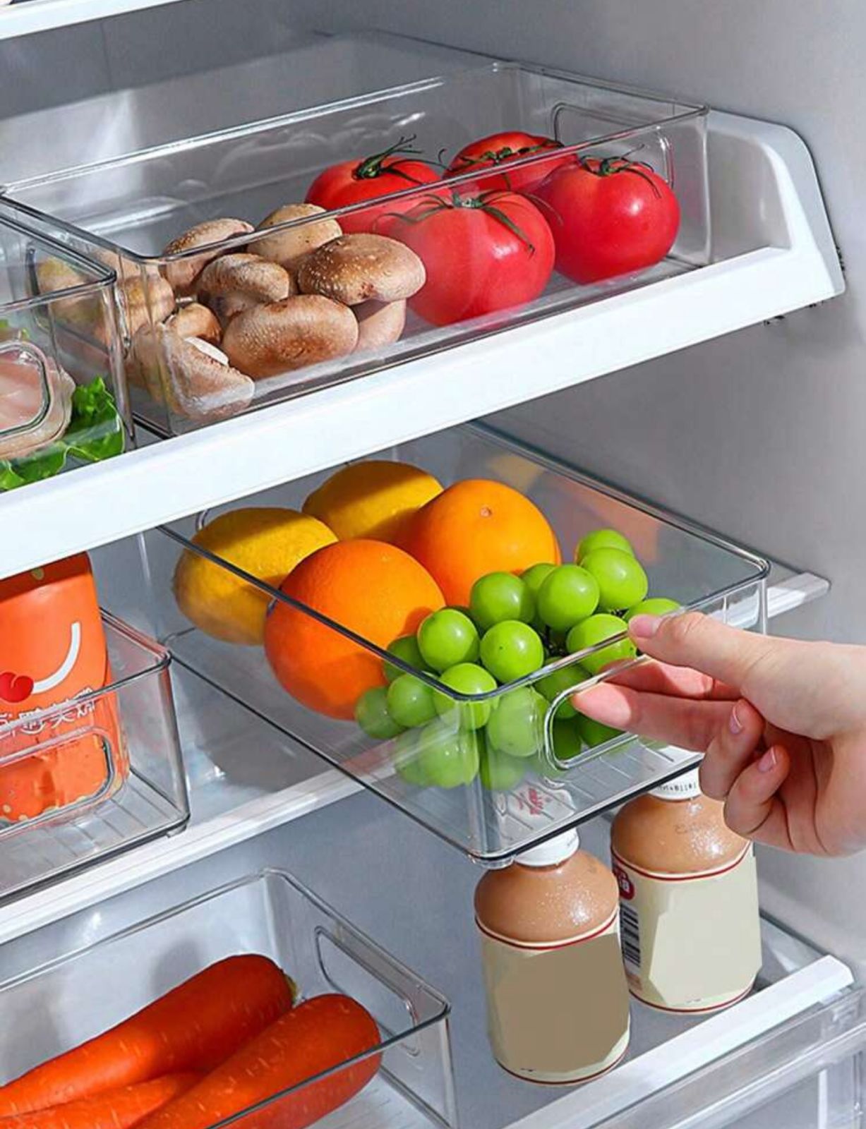 Refrigerator/Freezer Storage Boxes